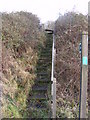 Steps to the footpath to Brook Farm Road & Sandy Lane in IP17 1GD