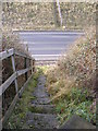 Footpath steps to the A12 in IP17 1GD