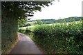 The lane to Little Holwell in TA5 2EF