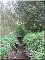 The Quaggy River aka The Chin Brook, Chinbrook Meadows in BR1 3NB