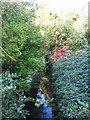 The Kyd Brook east of Lower Camden, BR7 in BR7 5JE