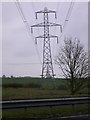 Line of pylons viewed from the A31 near Holybourne in GU34 4JD