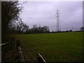 Field with pylon near Truncheaunts in GU34 3BE