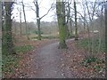 Woodhall Park - looking towards Lake - Woodhall Lane in LS28 7FQ