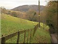 Steep field of sheep, Slad in GL6 7LA