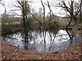Pond at the southern end of Lake Wood in BR2 6HZ