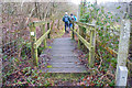 Footbridge on Footpath in BH24 4BZ