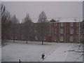 Snow in Pearson Court, St. Patrick's Hall in RG2 7SX