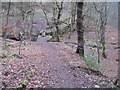 Footpath crossing Hurstclough Brook in SK14 3ED