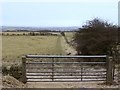 Field path to Catchgate south-east of Pontop Pike in DH9 9AR