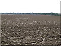 Ploughed Field in IP28 6NN
