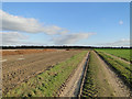 Farm track with chicken manure ready for spreading in NR17 1PF