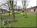 Woodland Close, Trimdon in TS29 6JT