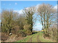 Track off the Pullover Road, King's Lynn in PE34 3LS