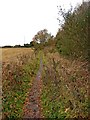 Public footpath from Leapgate Country Park to Wilden Top Road in DY13 9NH