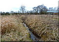 Whitehall Brook, south of Row of Trees, Cheshire in Chorley