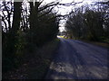 Looking south on Plaistow Road from Mackerel's Common in RH14 0JT