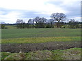 Farmland between Noah's Ark Lane and Knutsford Road in WA16 7BF