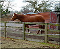 Stables near Row-of-Trees, Wilmslow. Cheshire in SK9 7SF