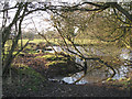 Pond north of Carol Green in CV7 7BY
