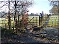 Footpath and gate in NE46 2LR