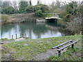 River Itchen at St Catherines in SO23 9NP