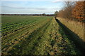 Footpath near Narrow Meadow Farm in WR11 2BQ