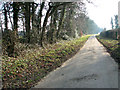 Approaching Clermont on School Road, Little Cressingham in Little Cressingham