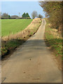 To the B1108 (Watton Road) on School Road, Little Cressingham in Little Cressingham
