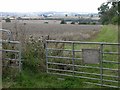 West View from Pitsford Hill in NN6 9LW