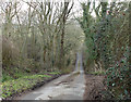 2011 : Lane to Nocketts Hill in SN11 9PJ