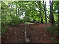 Footpath across Gernhill Wood, Fixby Estate in HD2 2NF