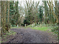 Footpath junction, Dollyper's Hill in CR5 1JP