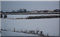 Hedge in a snowscene near Whaddon Farm in LU7 0QD