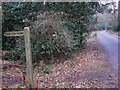 Bridleway signpost on Littleford Lane in GU5 0RH