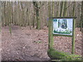 Information Board and walk in Reinden Wood in CT18 7TZ
