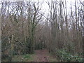 Bridleway in Wootton Wood in Denton with Wootton