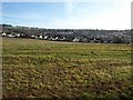 Farmland between Shepherds' Lane and the Northern end of Teignmouth in TQ14 9PB