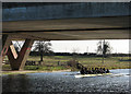 Rowing under the A14 in CB5 8TB
