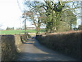 Road to Hunthay Farm in EX13 5RJ