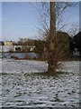 Danson Park in winter in DA5 1DL