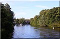 The River Bure at Wroxham in NR12 8JE