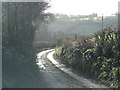 Road above Rock Mill in EX13 7TD