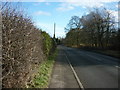 The Avenue towards Normanby Village in DN15 9HB