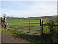 Gate to field north of Yarcombe in EX14 9AA