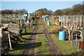 London Road allotments in LN11 9XY
