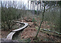 Cycle trail, Cannock Chase Forest in WS15 2UT