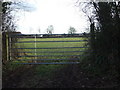 Gate into a field at Egremont in EX14 3LQ