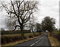 B6321 north-east of Corbridge in NE43 7XA