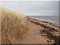 Dune's edge and beach in DD7 6JR